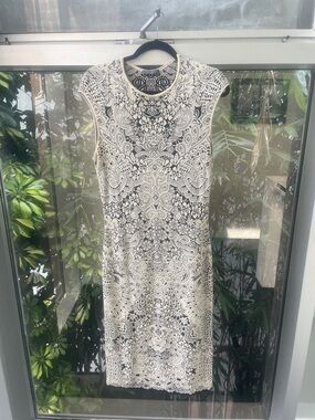 Alexander McQueen Knit Silk Blend Ivory and Black Lace-Pattern Sheath Dress